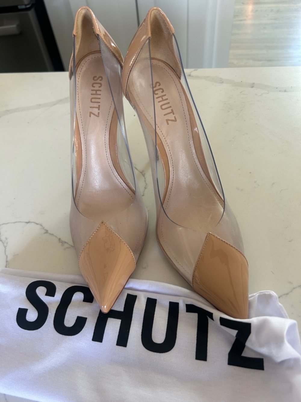 SCHUTZ Nude Patent Pointed-Toe Pumps with Clear Panels